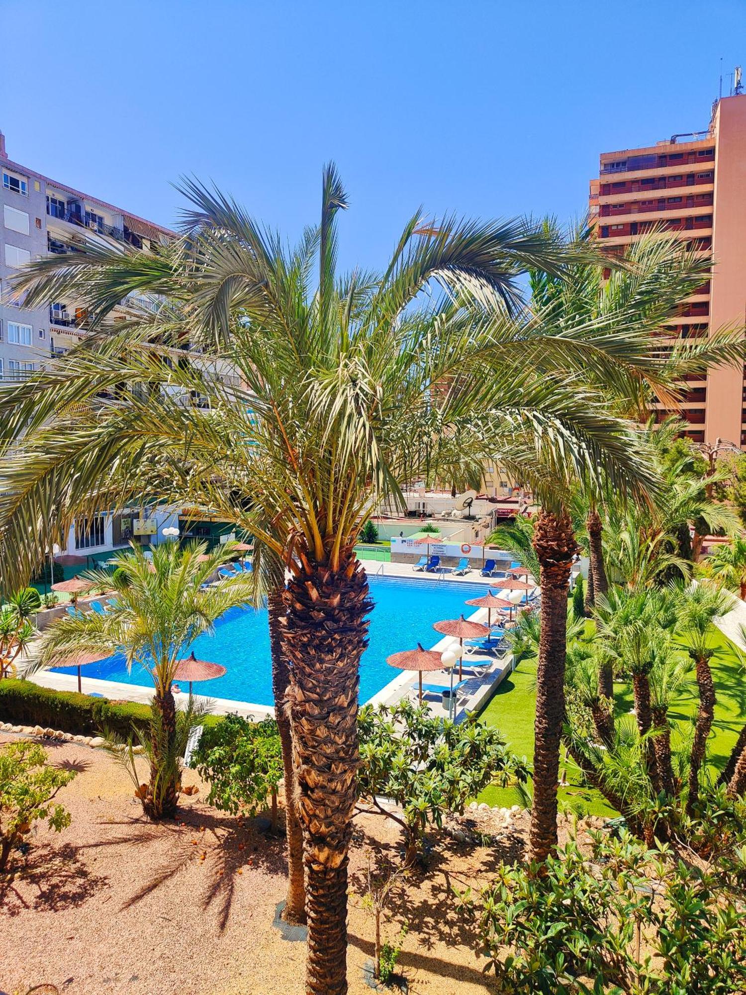 Appartamento Versailles 2-9 Benidorm